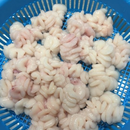 真鱈の白子が入荷しました